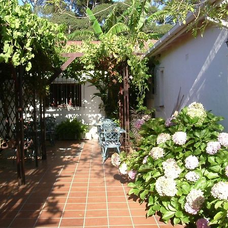 Vine Guesthouse Stellenbosch Eksteriør billede