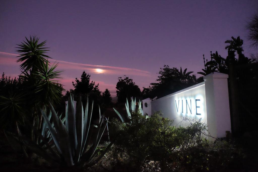 Vine Guesthouse Stellenbosch Eksteriør billede