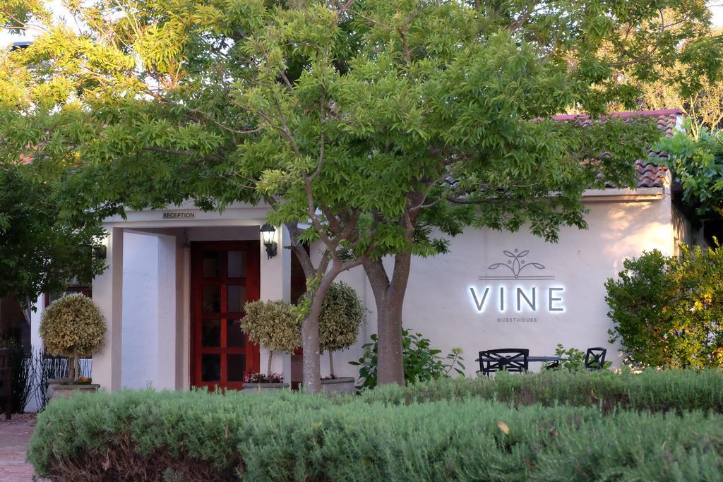 Vine Guesthouse Stellenbosch Eksteriør billede