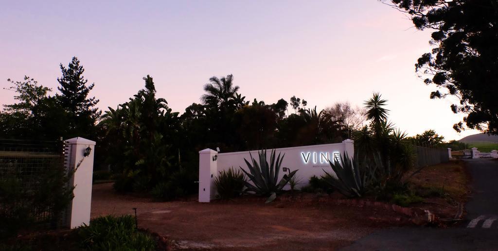 Vine Guesthouse Stellenbosch Eksteriør billede