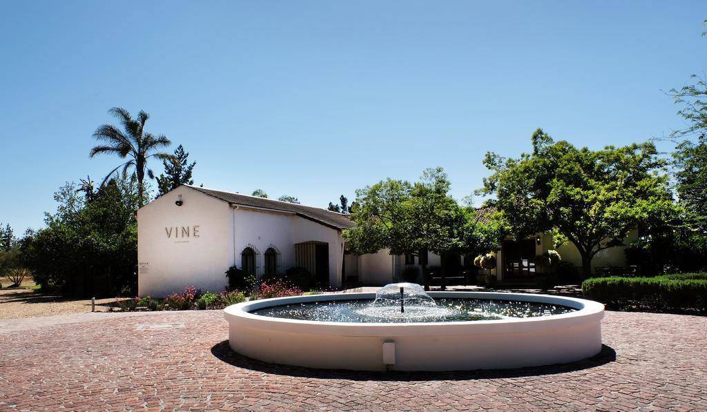 Vine Guesthouse Stellenbosch Eksteriør billede