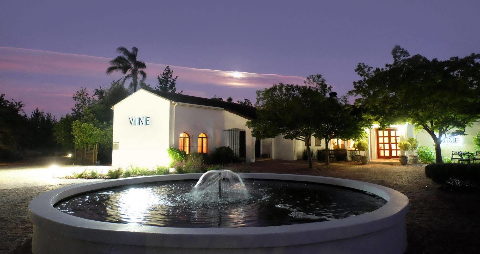 Vine Guesthouse Stellenbosch Eksteriør billede